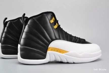 HighQuality 781 848692- 4163 12 Retro Jordan Wings 0709